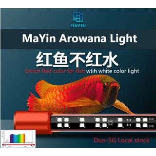 Đèn led MAYIN Super Colour, super colour plus chuyên dụng cho huyết long, bối