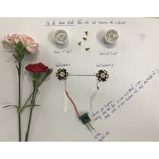 Combo bộ 02 Led Luxeon 3W màu HG (Đài Loan) + 2 chóa+ 1 driver