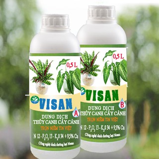 Dung dịch thủy canh cây cảnh