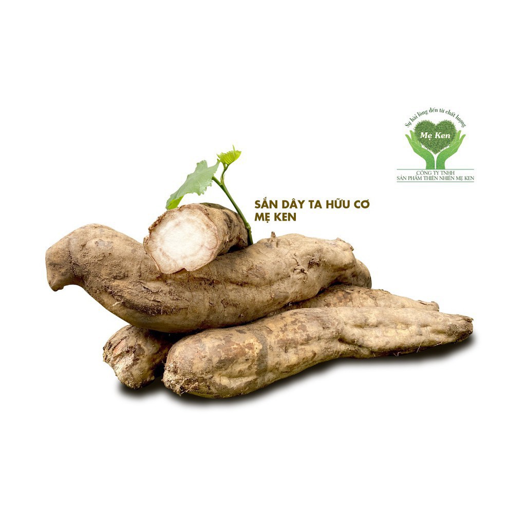 Bột Sắn Dây Mẹ Ken- Bột sắn dây tươi sạch nguyên chất tốt cho sức khỏa ( Bán Theo Mùa) | BigBuy360 - bigbuy360.vn