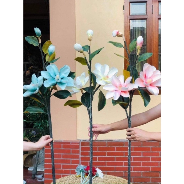 Mộc lan cánh to cao cấp. đường kính bông 20cm, cao 1m. Ảnh thật hàng có sẵn