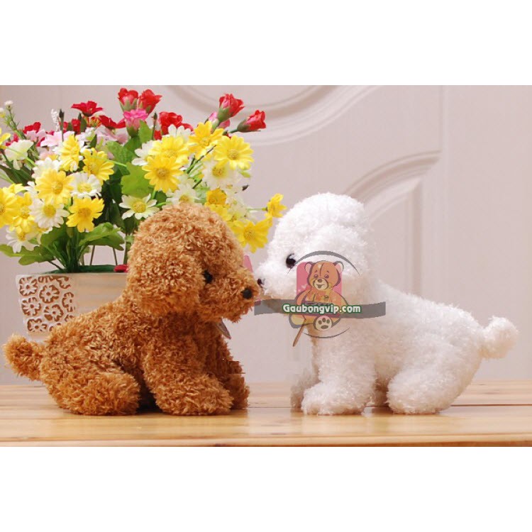 Chó bông Poodle 20cm