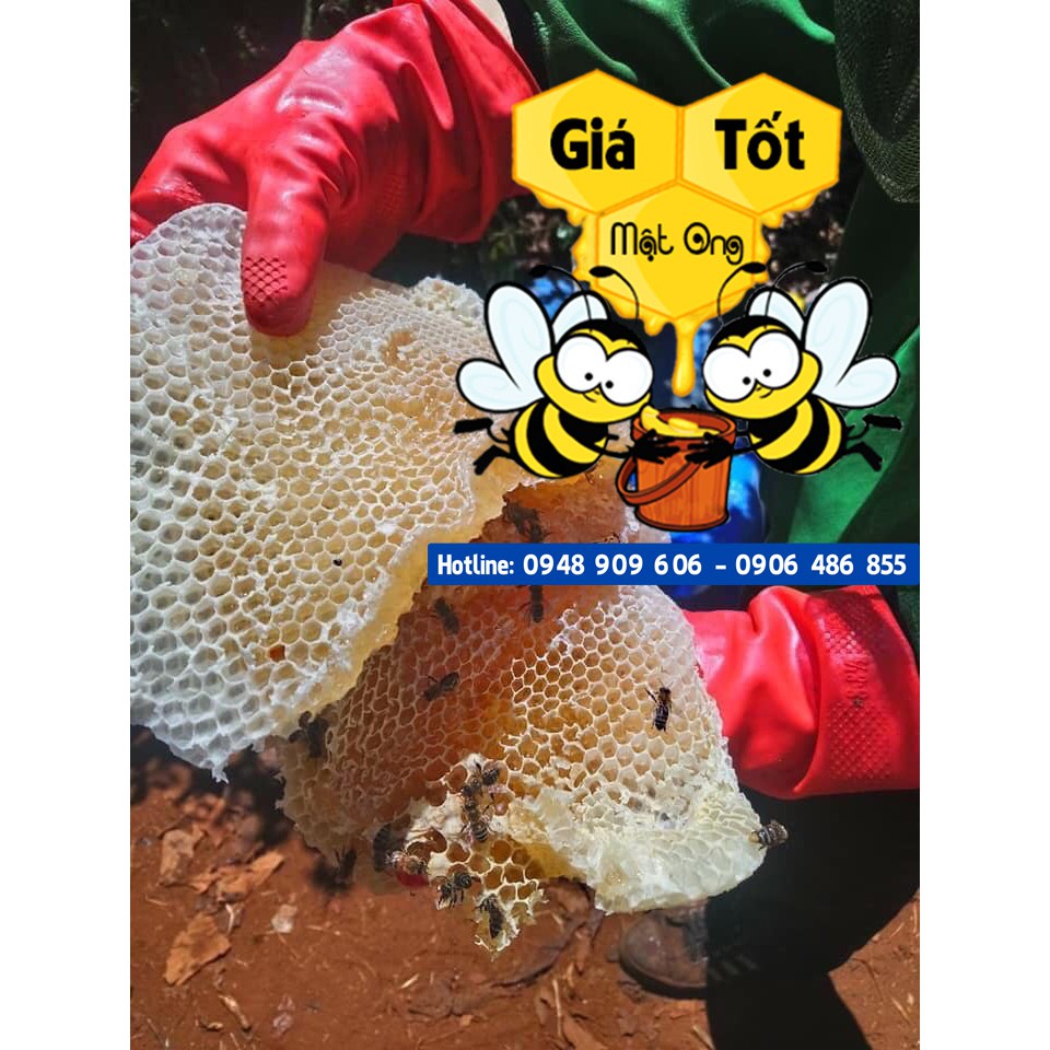 COMBO 1G SAFFRON - 1L MẬT ONG NGUYÊN CHẤT | BigBuy360 - bigbuy360.vn