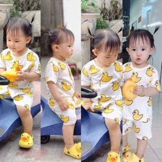 Combo 25b cotton giấy