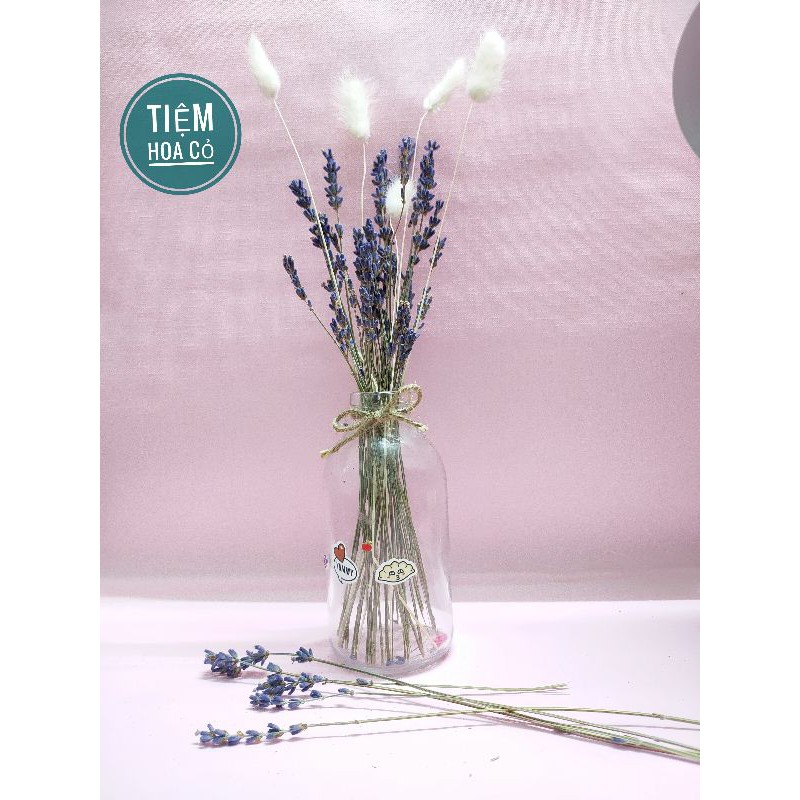 ♥️ 1 CÀNH Hoa Khô Lavender ♥️ decor, trang trí, chụp ảnh sản phẩm