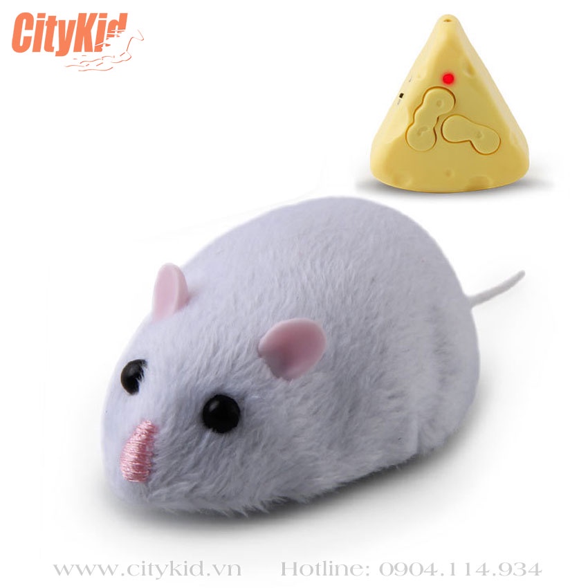 Chuột điều khiển từ xa đồ chơi cho mèo