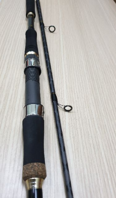 Cần Ashino Sea Slicker-Fuji