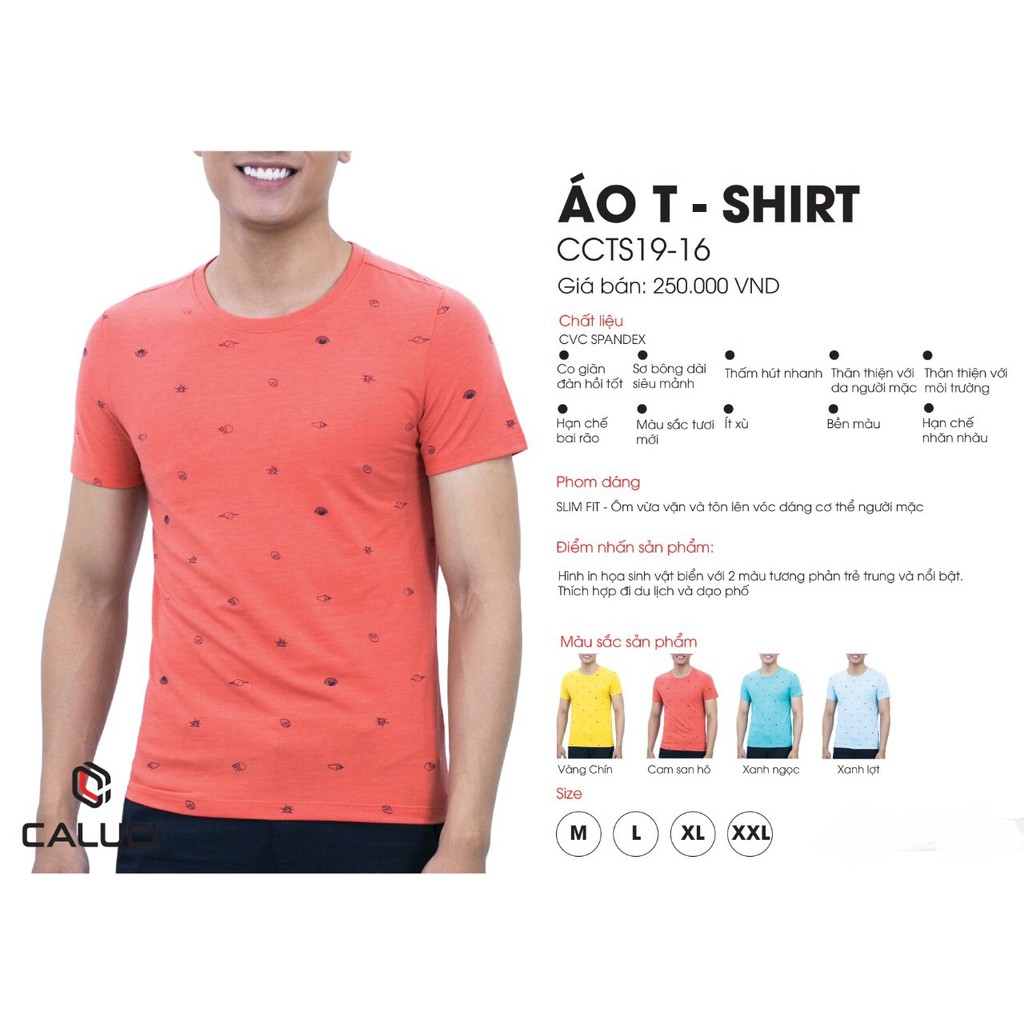 Áo thun (SHIRT) CALUCI