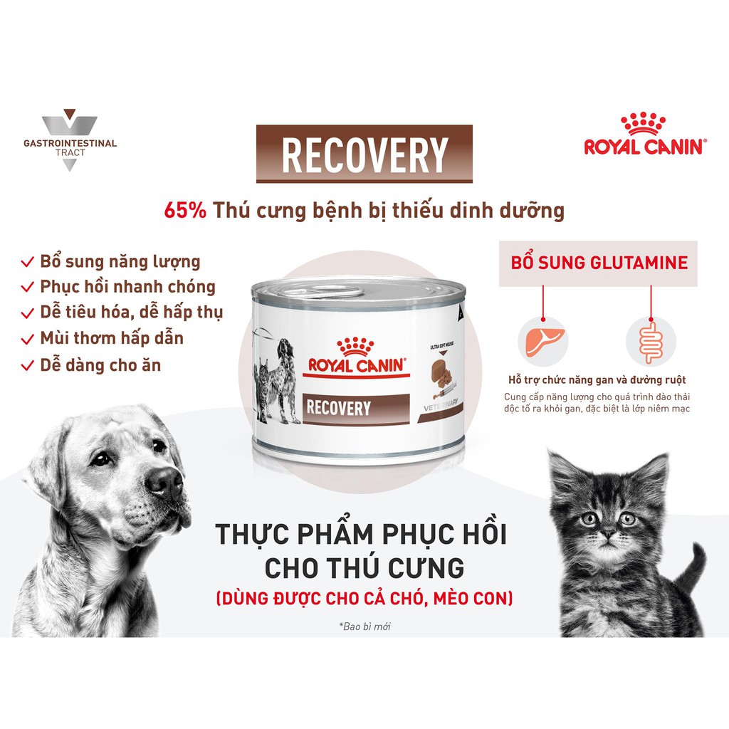 Pate recovery 195g hãng Royal Canin ( phục hồi sức khỏe chó mèo) của royal canin