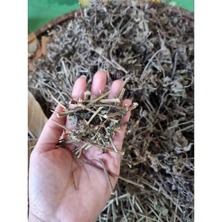 Lá xông sản phụ