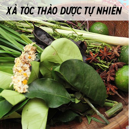 Dầu xả thảo dược thiên nhiên 💆🏻‍♀️ Dầu xả bưởi, oliu, dưỡng tóc mềm mượt, chắc khỏe QUÊ MỘT CỤC handmade