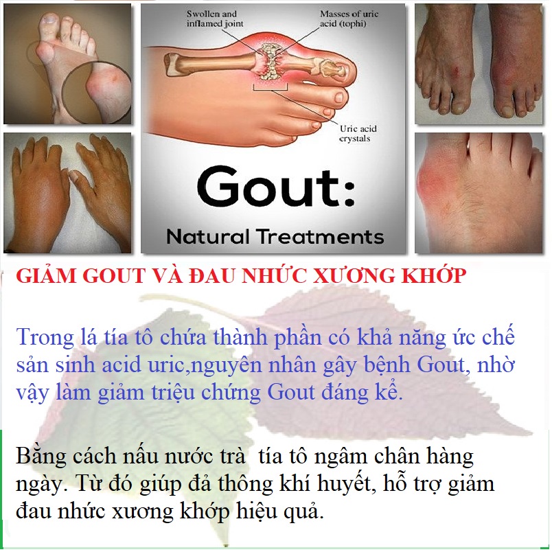 Trà TÍA TÔ - giảm MỤN - NÁM, TÀN NHANG ( 40 túi lọc )