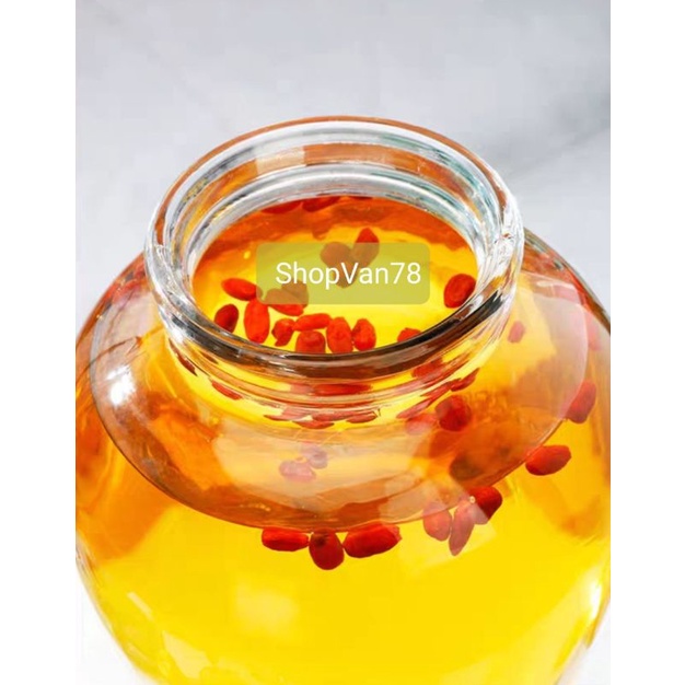Bình thủy tinh dáng sâm chân mây