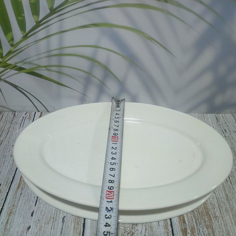 &lt;Video SP&gt; Dĩa sứ trắng dày lớn nhất (Xoài 12,14 inch)