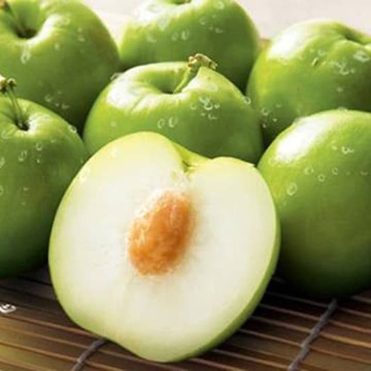 Cây giống Táo Thái Xanh chùm♥️siêu trái♥️Trồng sân thượng ban công♥️Cây ghép chui cành