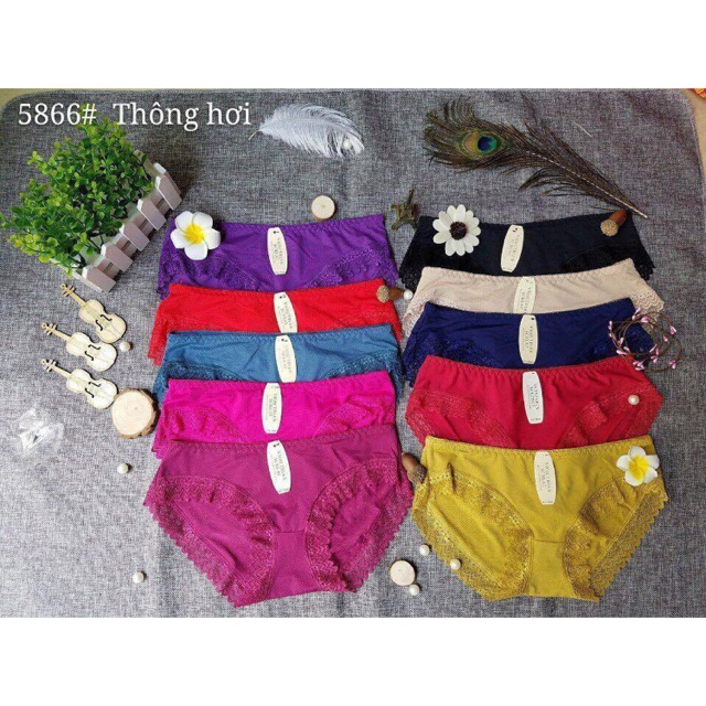 Quần lót thông hơi combo 10c