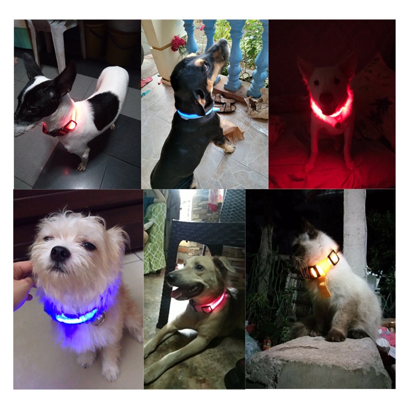Vòng Cổ Thú Cưng Gắn Đèn LED # A066