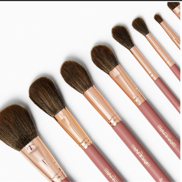 [ Tách lẻ ] Cọ BH Its my raye raye