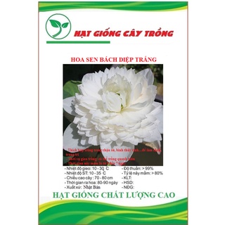 Hạt giống hoa sen bách diệp trắng ct516 - gói 5 hạt