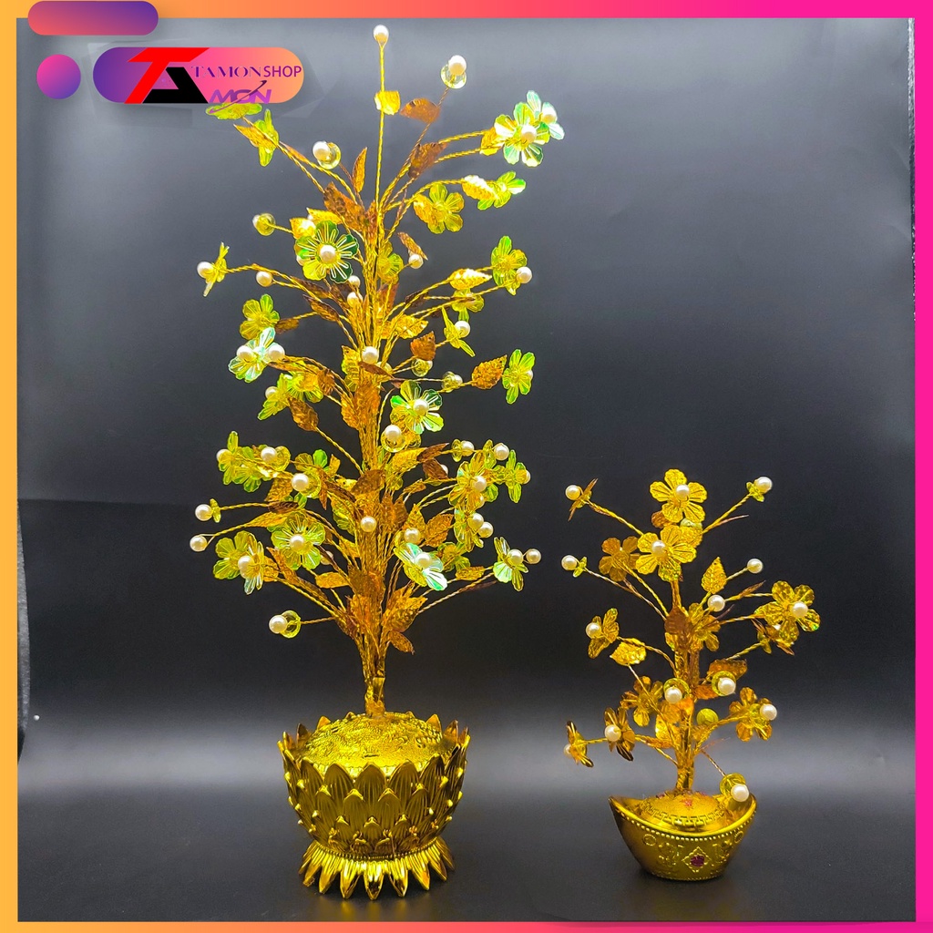 Chậu Cây tài lộc  trang trí , phòng khách, bàn thờ thần tài thổ địa làm kim tiền phong thủy may mắn, cây vàng lộc