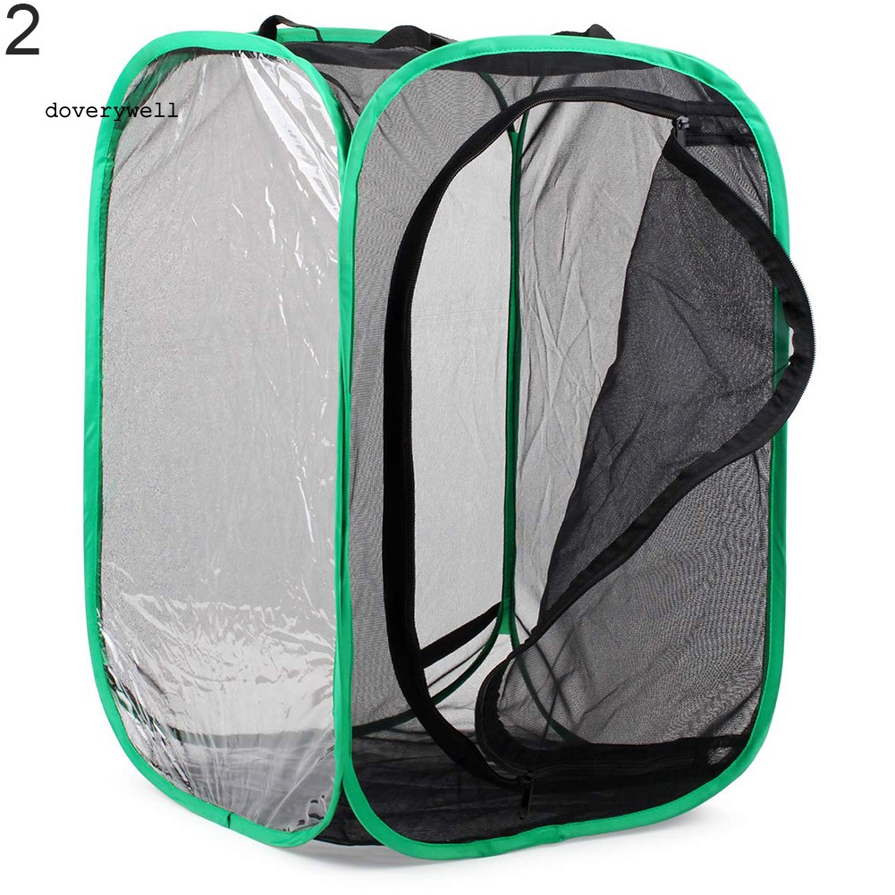 Lồng Lưới Nuôi Bướm / Côn Trùng Có Thể Gập Lại Được