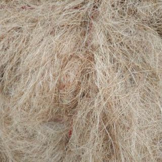 Chỉ xơ dừa (giá thể trồng lan)
