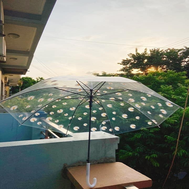 Ô trắng trong suốt