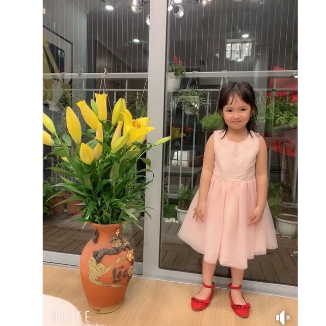 Váy castro hồng hàng dư xịn