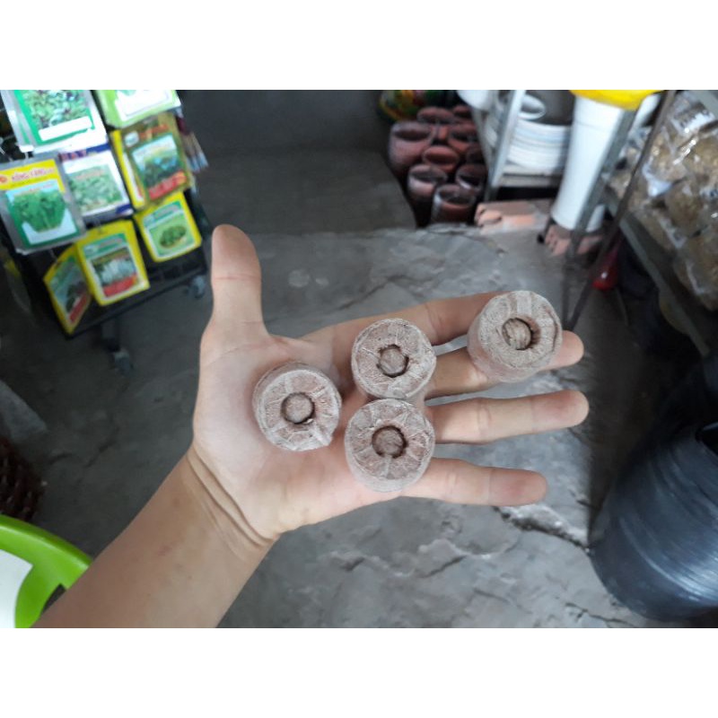 COMBO 10 Viên Nén Sơ Dừa Ươm Cây Giống, Hạt Giống
