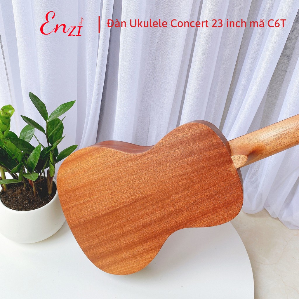 Đàn ukulele concert size 23 inch C6T chất liệu gỗ giá rẻ chất lượng ENZI