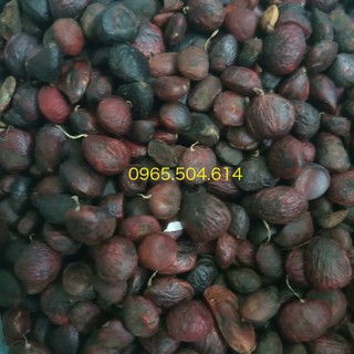 5 Hạt giống hoa mộc lan Mix