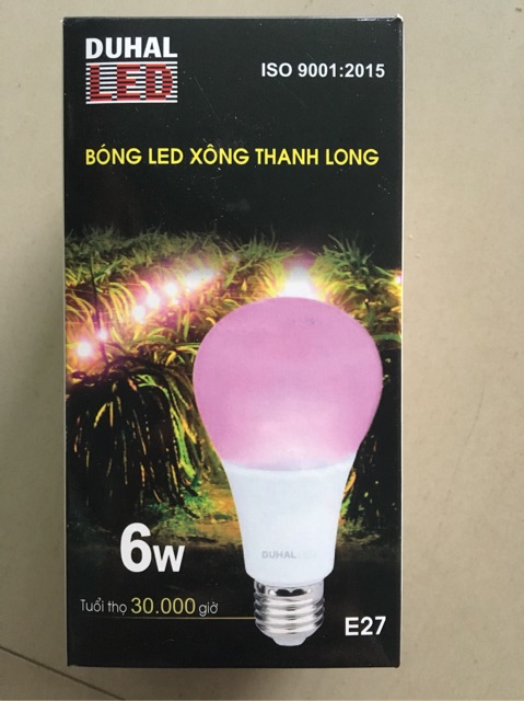 BÓNG XÔNG THANH LONG (Model BXTL0061)