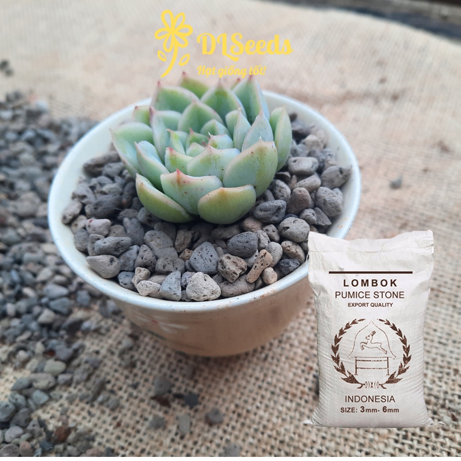 Đá Pumice indo size 3-6mm, đá trồng cây sen đá, kiểng lá,gói 1 lít