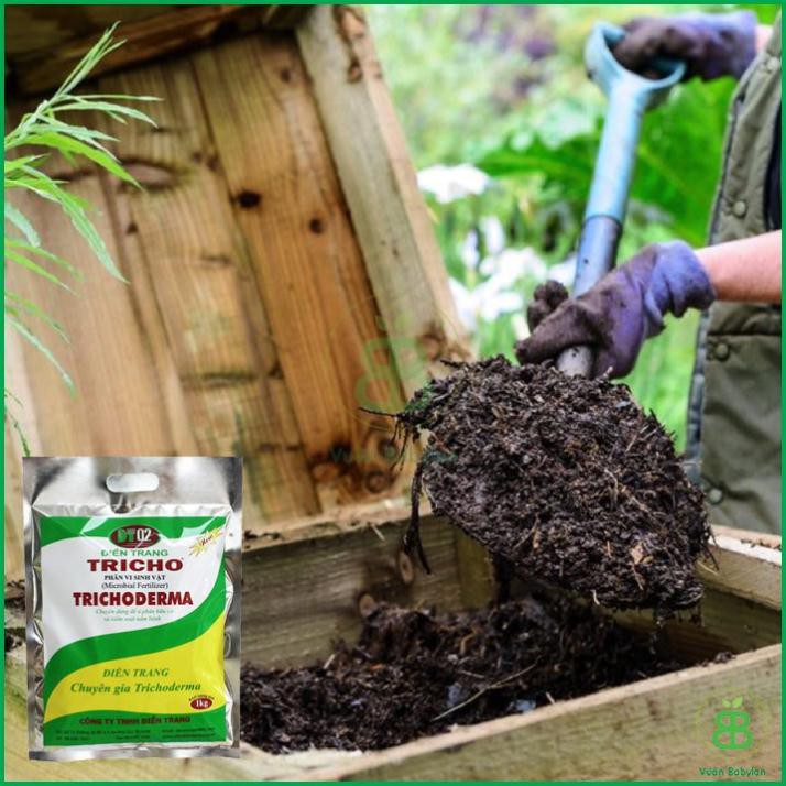 CHẾ PHẨM MEN VI SINH NẤM TRICHODERMA LOẠI 1KG