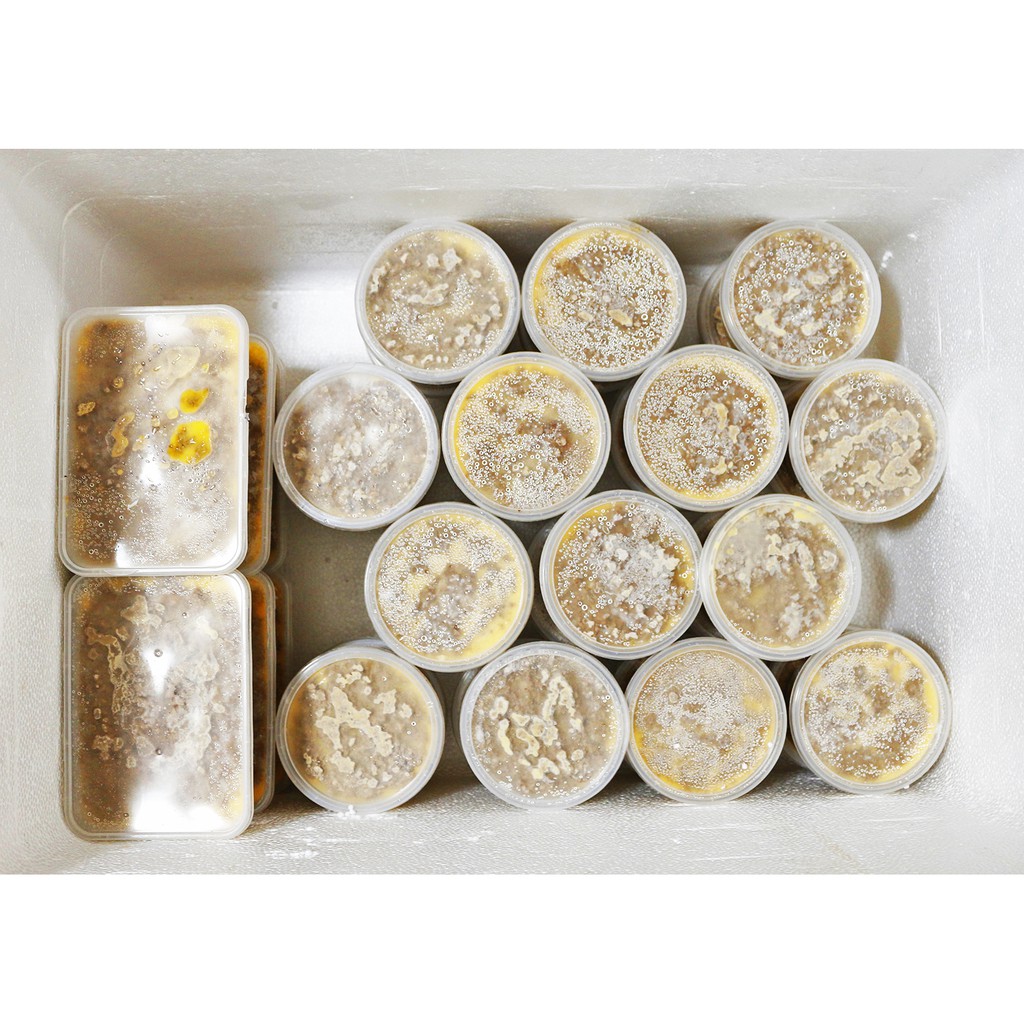 Pate sần Buôn Ma Thuột hộp 500gr (SIÊU NGON) [Ship siêu tốc 1h] | BigBuy360 - bigbuy360.vn