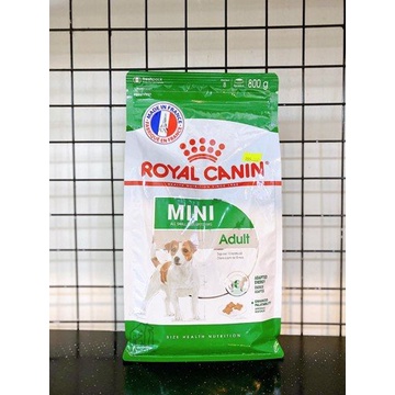 Hạt cho chó lớn Royal Canin Mini Adult  800g