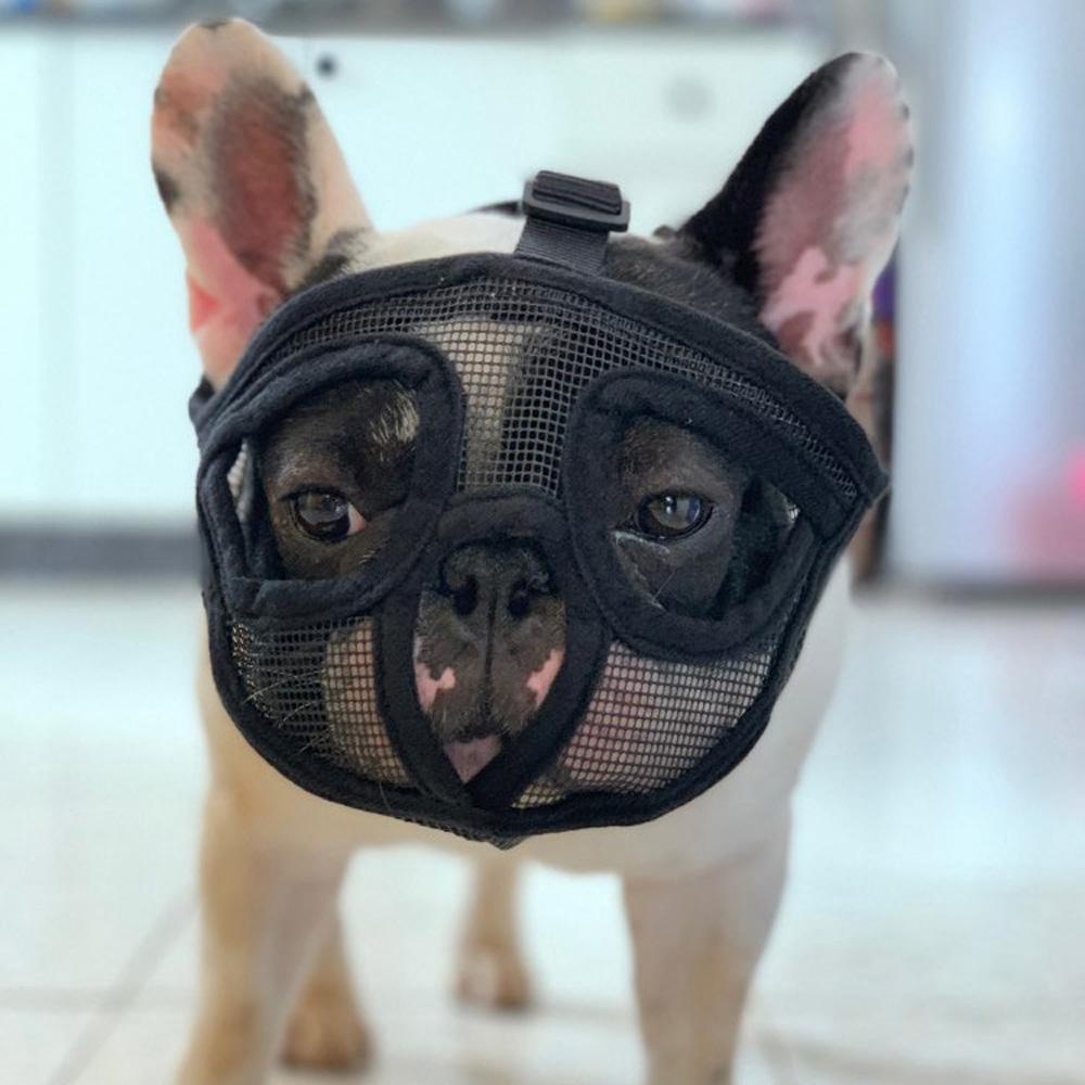 Mặt Nạ Elsworth Mềm Mại Thoáng Khí Chống Chó Sủa