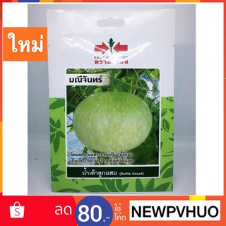 hạt giống bầu tròn thái lan