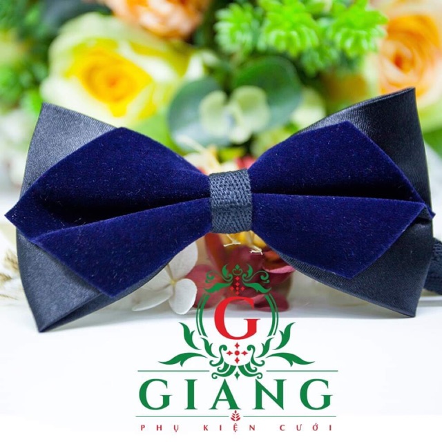 Nơ chú rể xanh đen