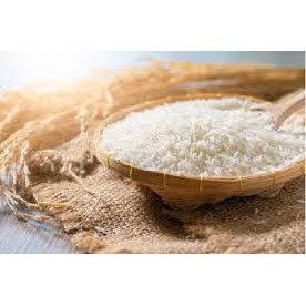 [GIAO HỎA TỐC HCM] GẠO ST25 Đặc sản Sóc Trăng không pha Bao 10kg - Gạo dẻo thơm ngon
