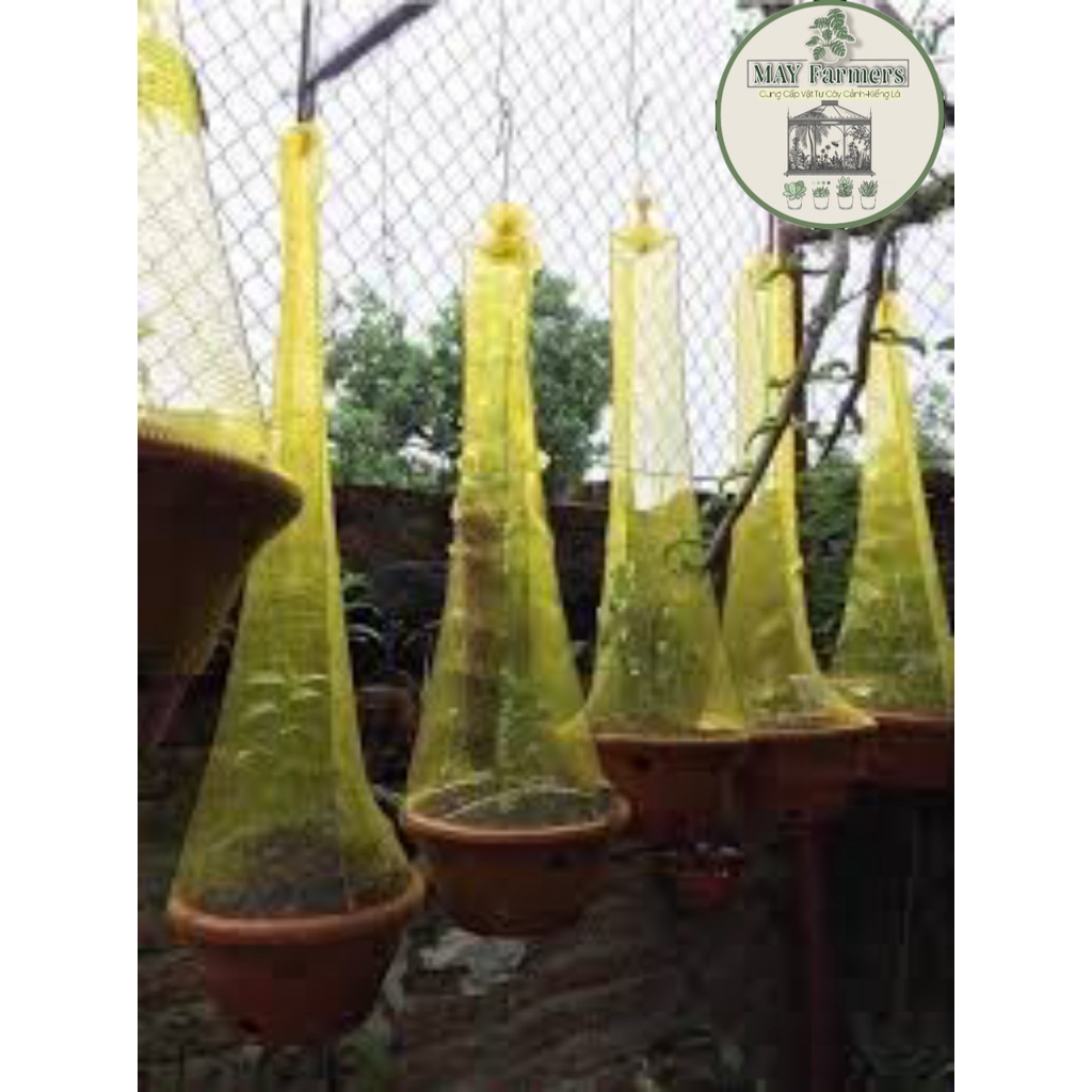 COMBO 10 CÁI LƯỚI LÓT CHẬU LAN