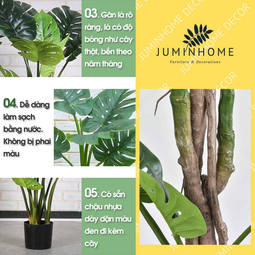 Cây trầu bà giả, monstera, cây lá rùa, trầu bà lá xẻ - Cây giả decor trang trí nhà cửa nội thất phòng khách phòng ngủ
