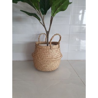 Giỏ cói, chậu cói trồng cây