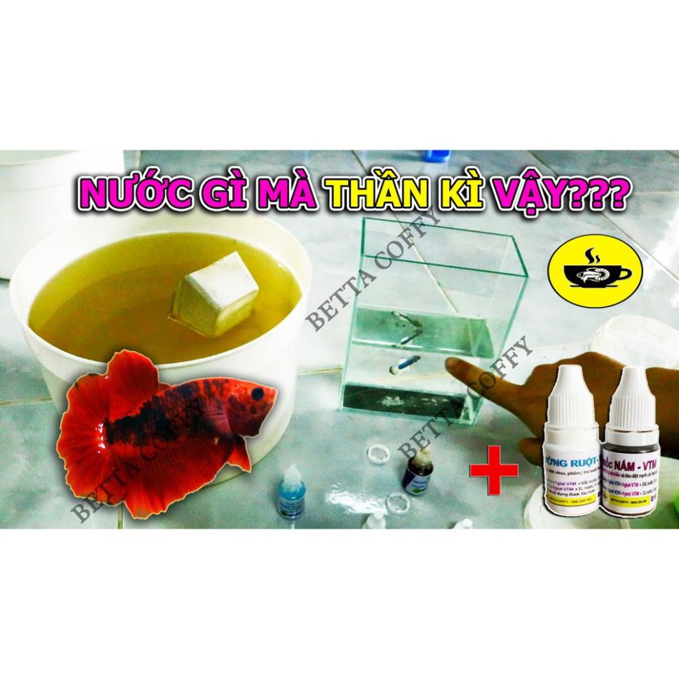 Vi Sinh - Đường Ruột + Nấm cho hồ cá ✅ BETTA COFFY ☕️