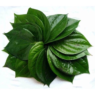Bột lá trầu không nguyên chất 500gr