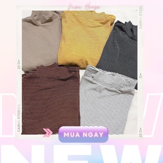 Áo kẻ nỉ thụng tay len 3 phân ( hàng Quảng Châu)