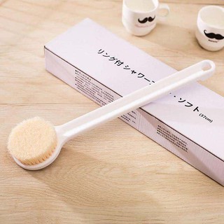 cây bông tắm nhật bản Muji
