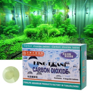 Viên nén CO2 cho bể cá thuỷ sinh ( 20 viên/ gói)