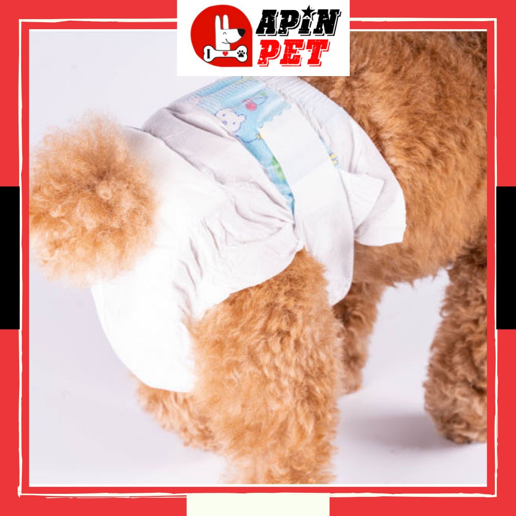 Bỉm Cho Chó Cái Thấm Hút Nhanh Thoáng Mát Size XS S M L XL
