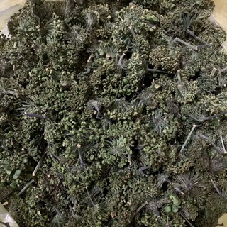 Hoa tam thất già 500g, 1kg